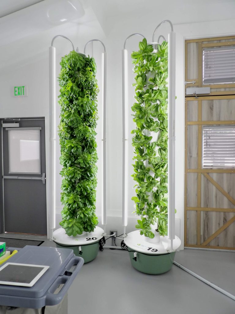 Aeroponic towers at 5 Points Farm
