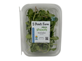 Black Oil Sunflower Shoots