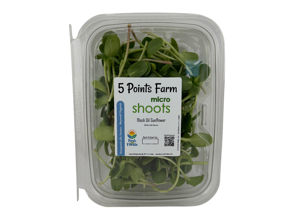 Black Oil Sunflower Shoots