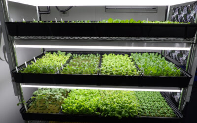 Scientific Research – Introduction